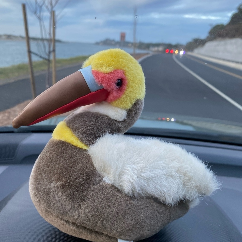 K&M INT’L 2003 Wild Republic “Brown Pelican w/Sound” Plush 8” w/Tags NEW